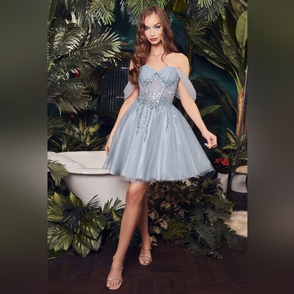 Off shoulder short glitter tulle beaded corset style dres - Picture 6 of 11